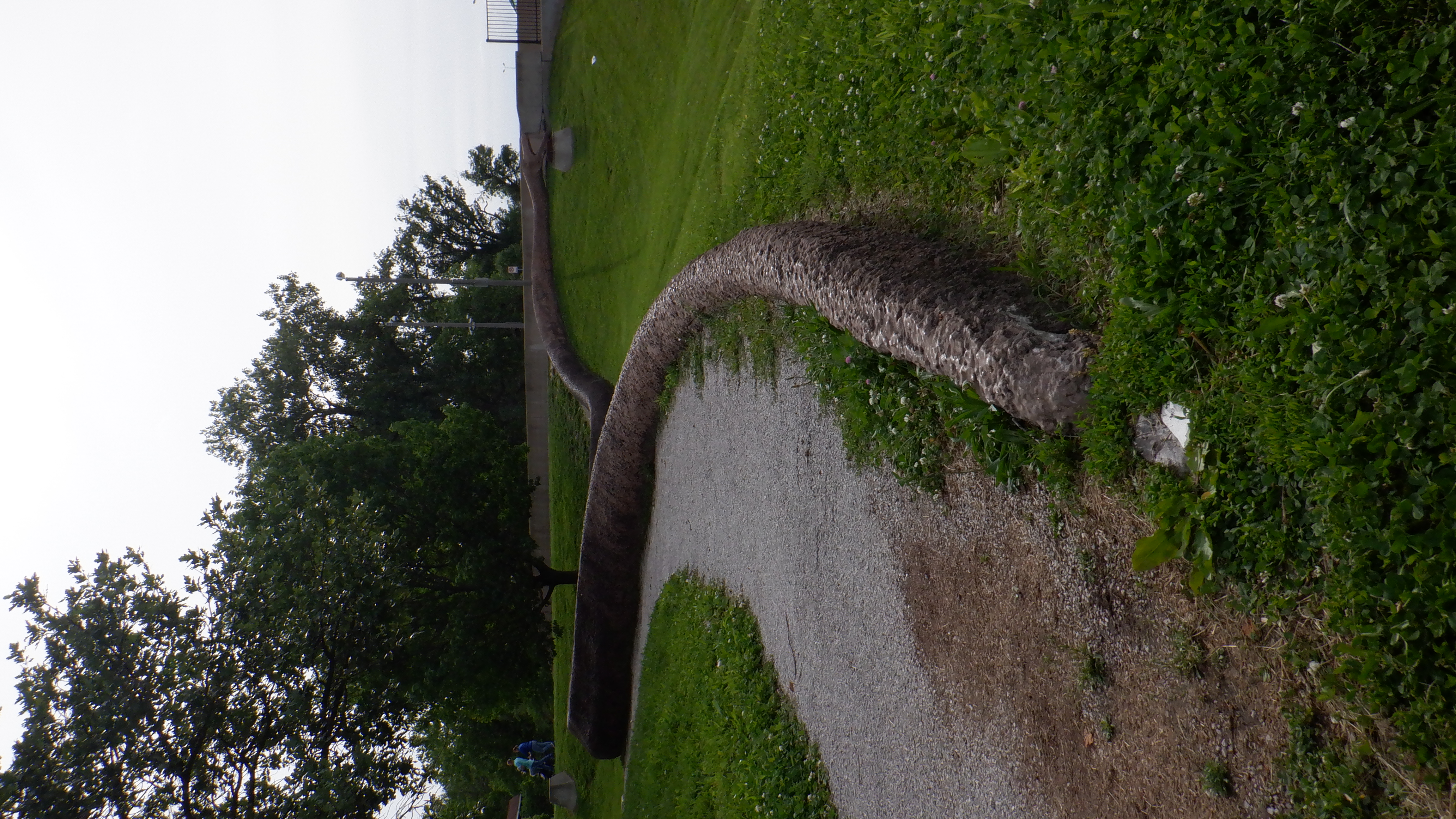 ./2022/06 - St Louis/02 - Day 2/20220522-180735628.JPG